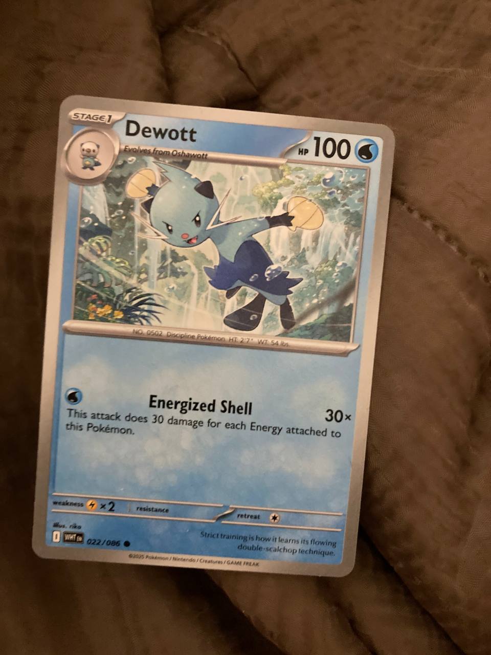Dewott 022/086 White Flare EN [NM]